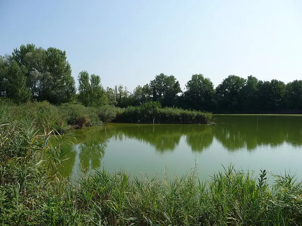Oasi naturalistica degli stagni di Casale