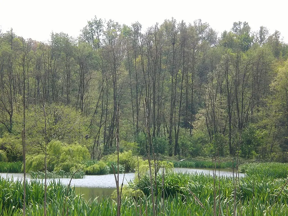Riserva naturale di Crava Morozzo