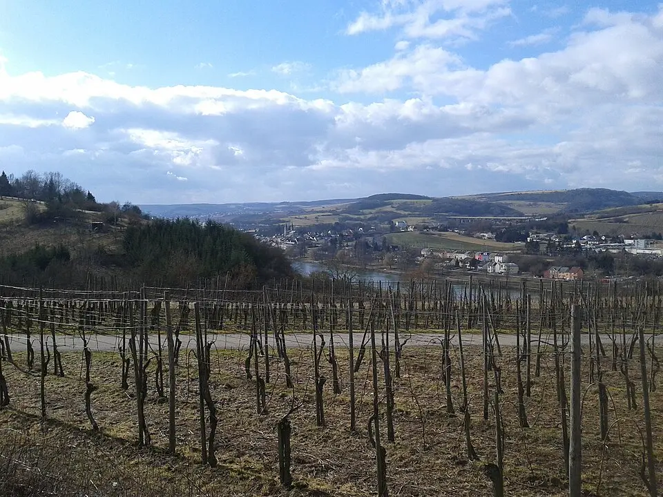 Oberbillig