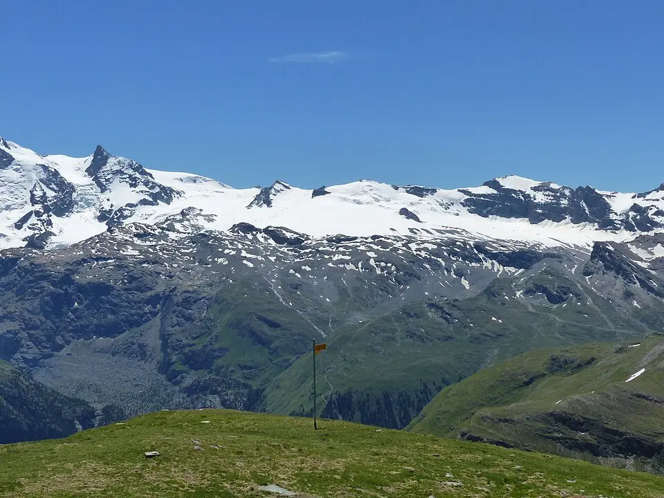 Furgghorn
