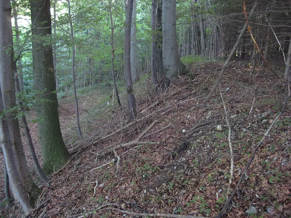 Wehranlage Mühlbachgraben