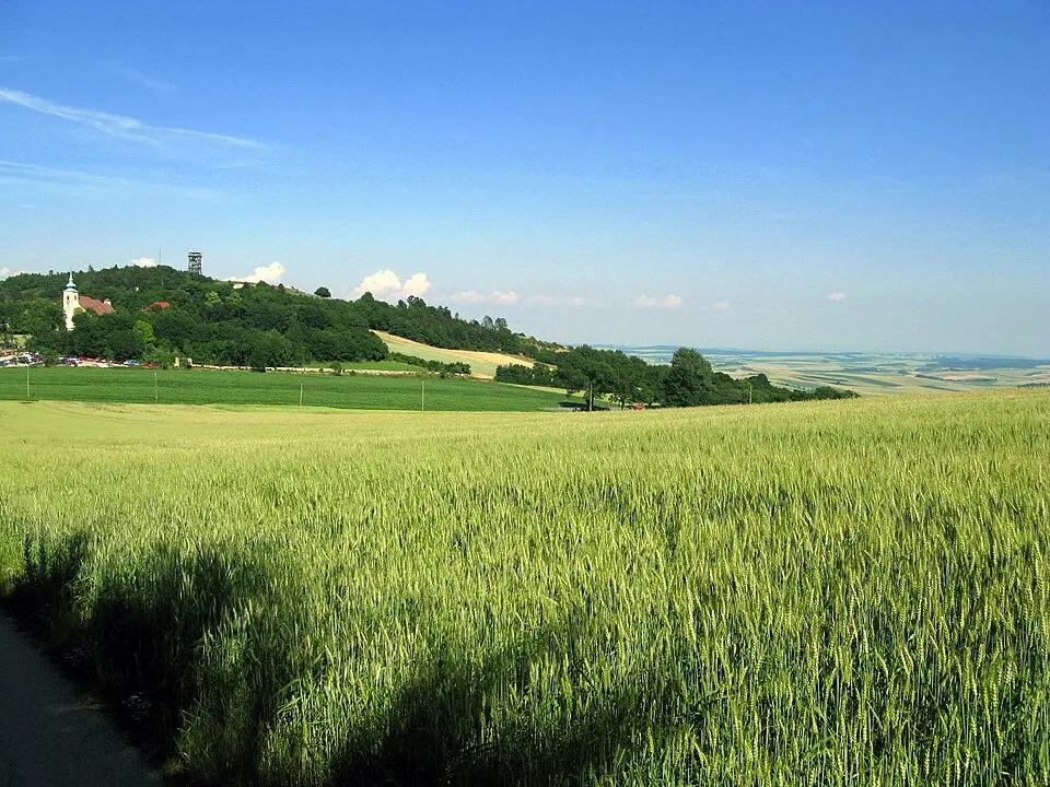 Image: JOADL · CC BY-SA 3.0 Weinviertel