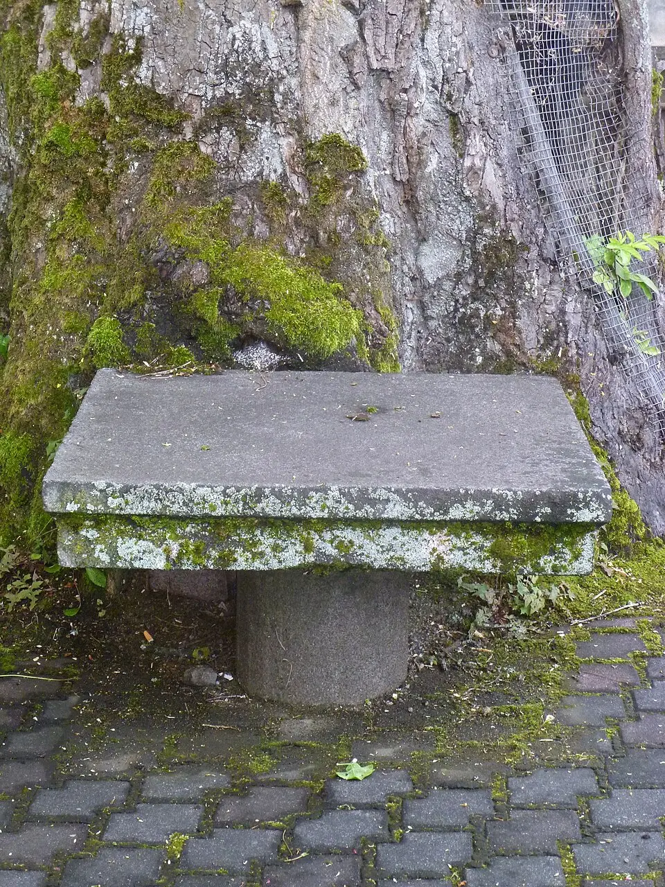 Steintisch