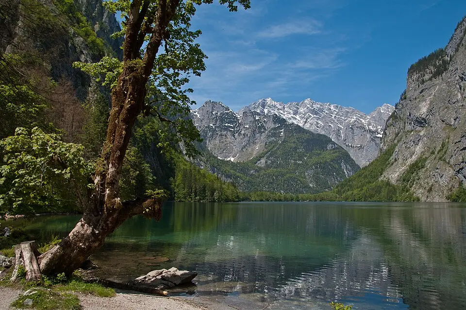 Bild: Alupus · CC BY-SA 3.0 Obersee