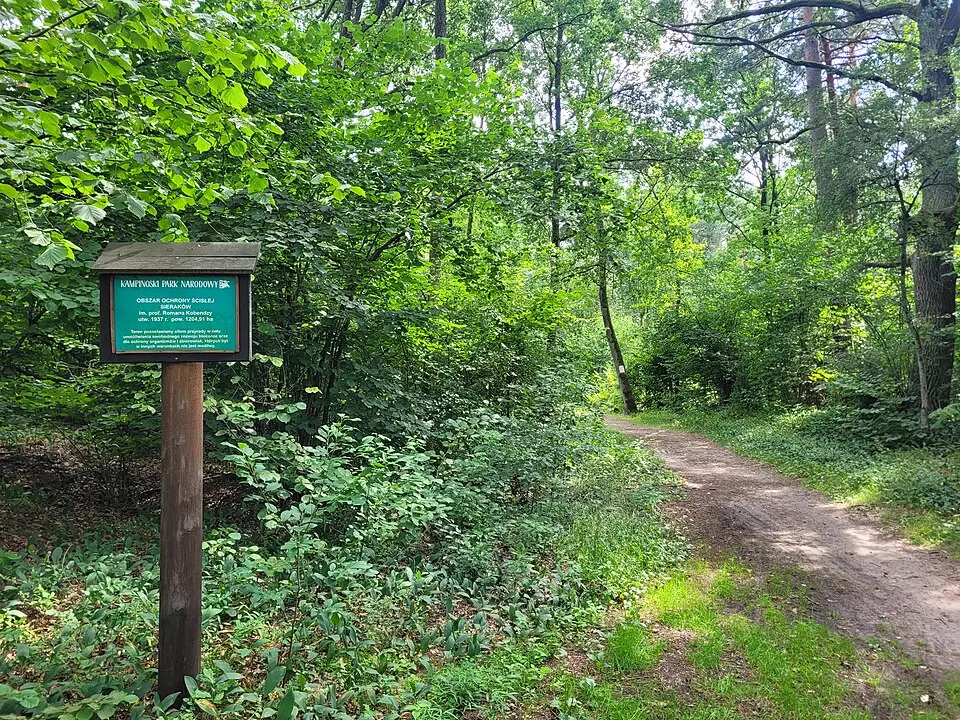 Obszar ochrony ścisłej Sieraków