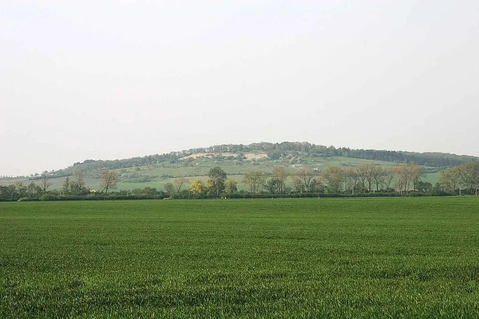 Oškobrh