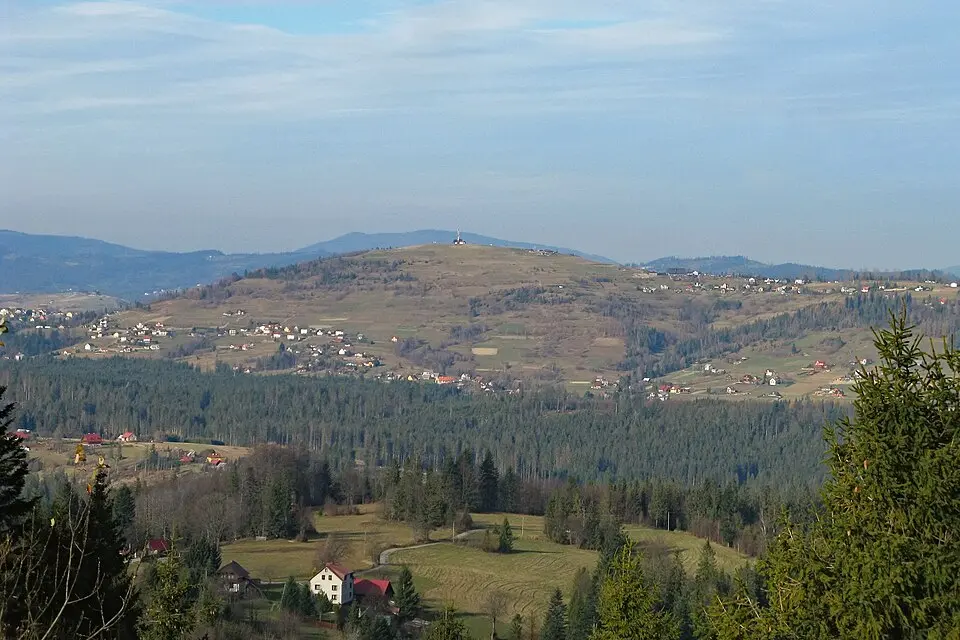 Ochodzita