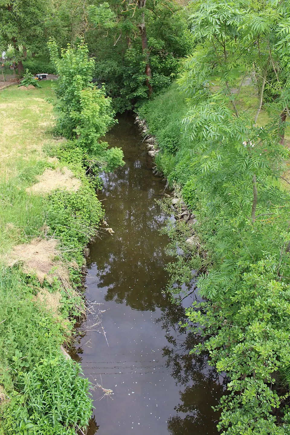Odenbach