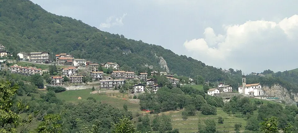 Amora