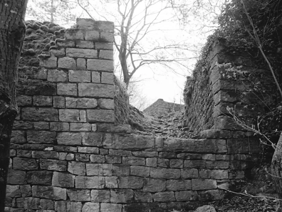 Ruine Ödenburg