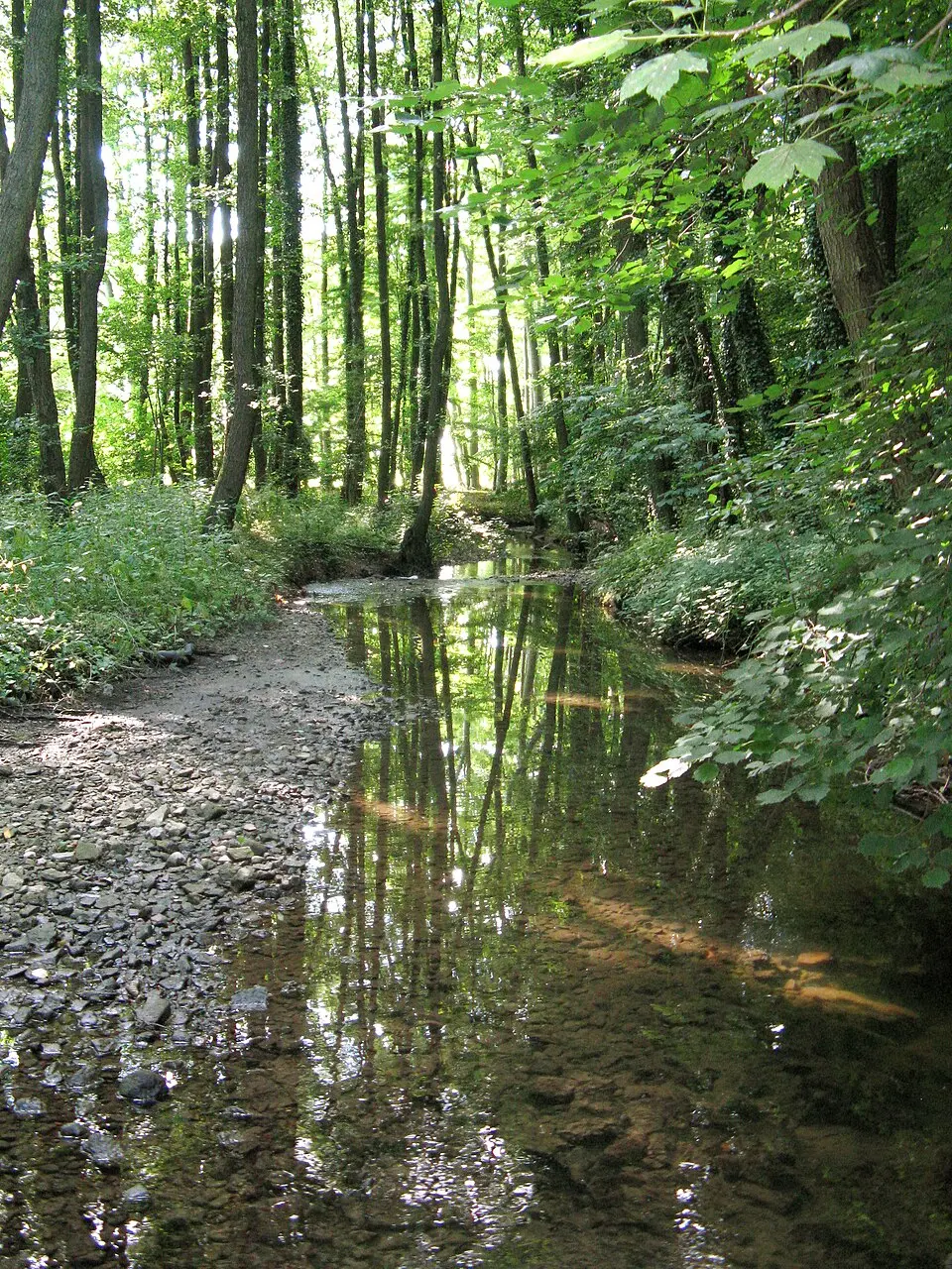Oetternbach