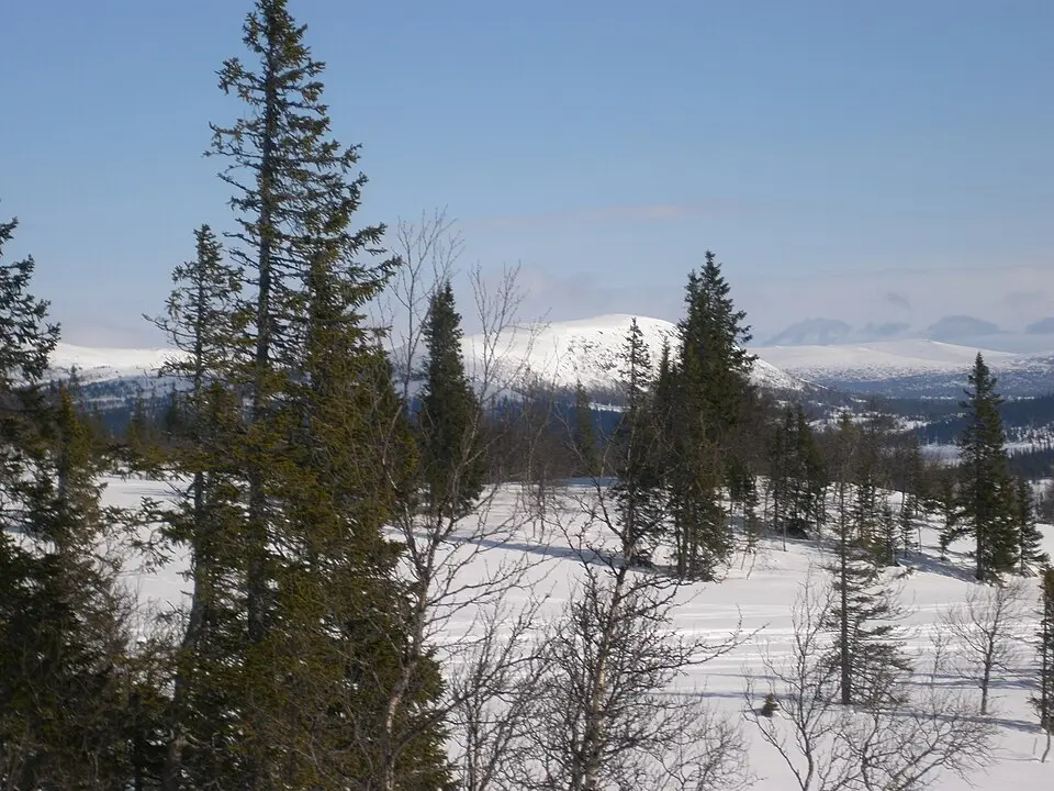 Svenskådalens naturreservat