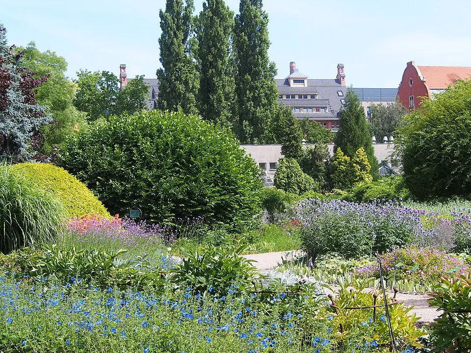 Orto botanico di Breslavia