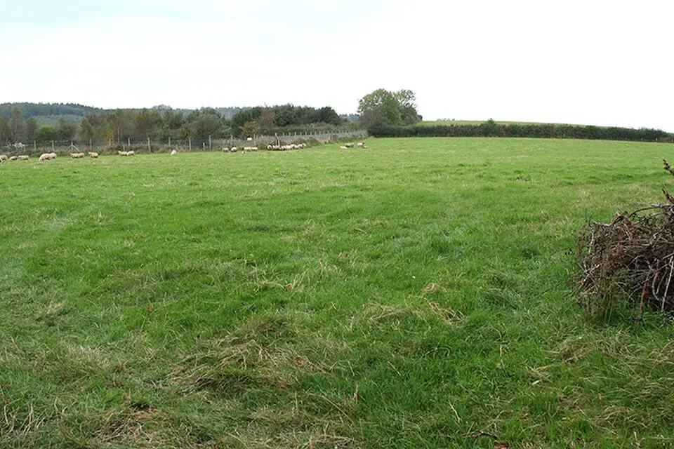Okehampton Roman fort, fortlet and associated enclosures