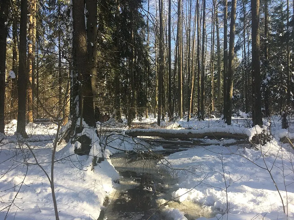 Okulanka