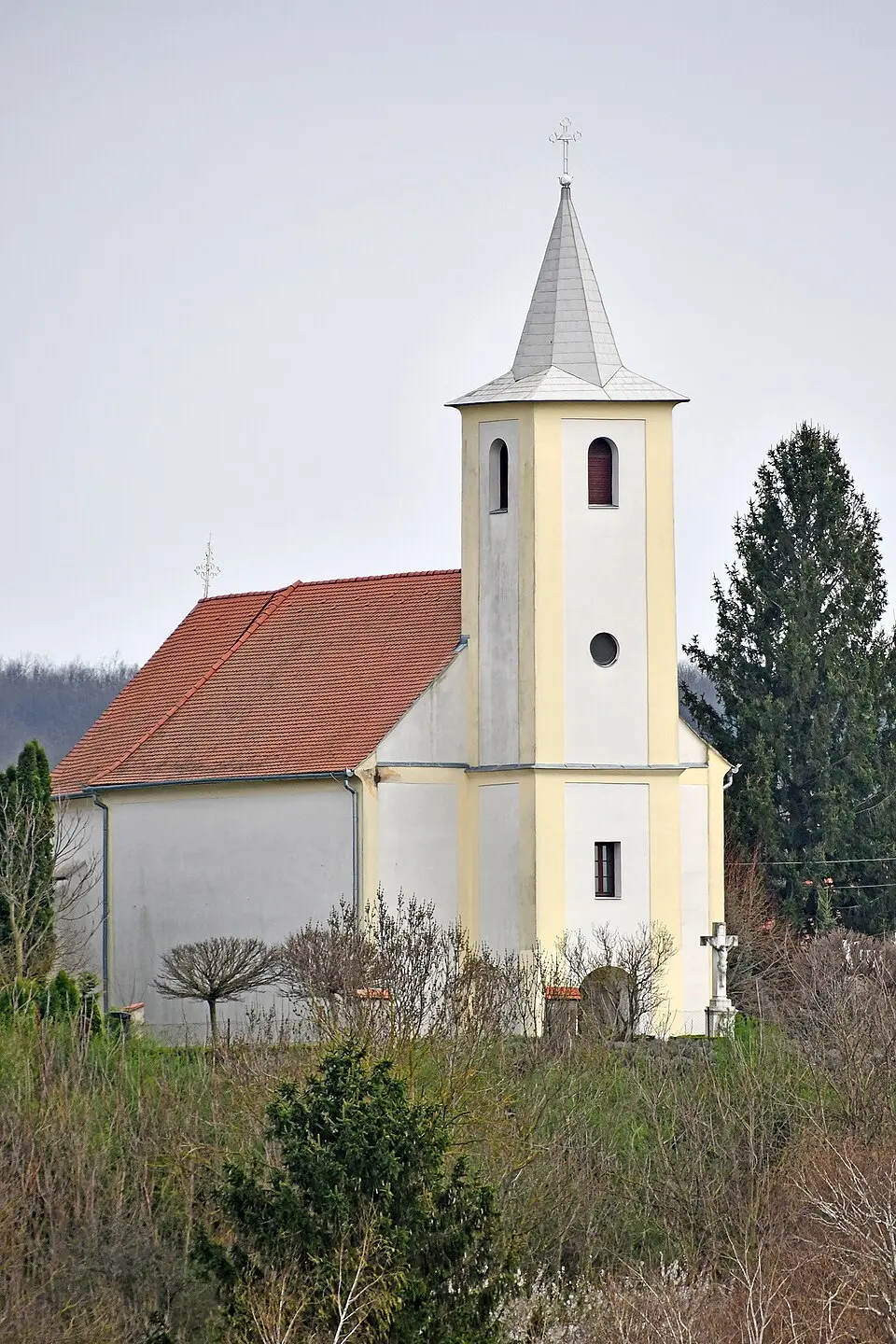 Olaszfa