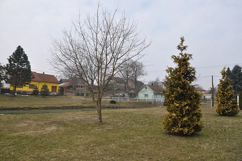Olšany