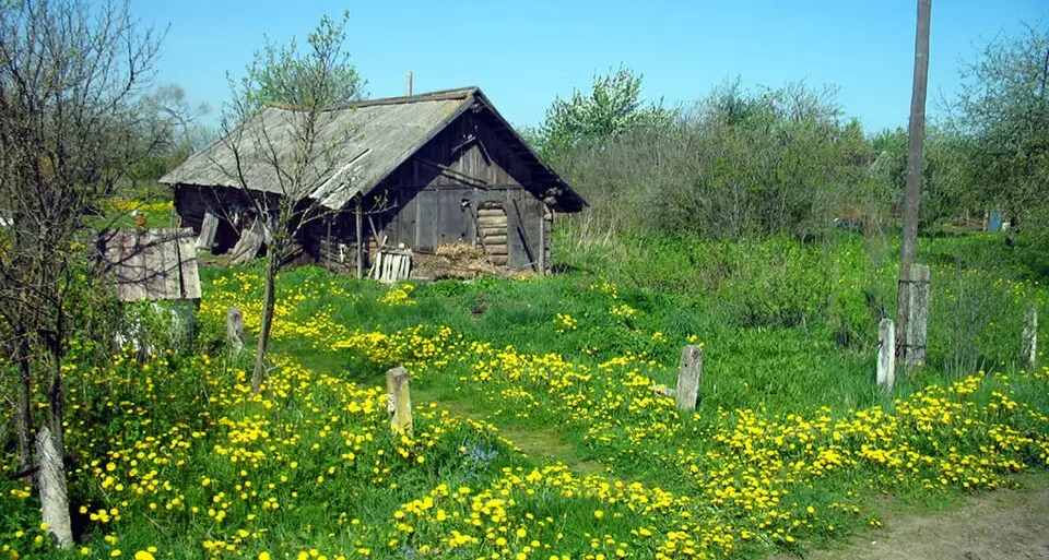 Рубашкі