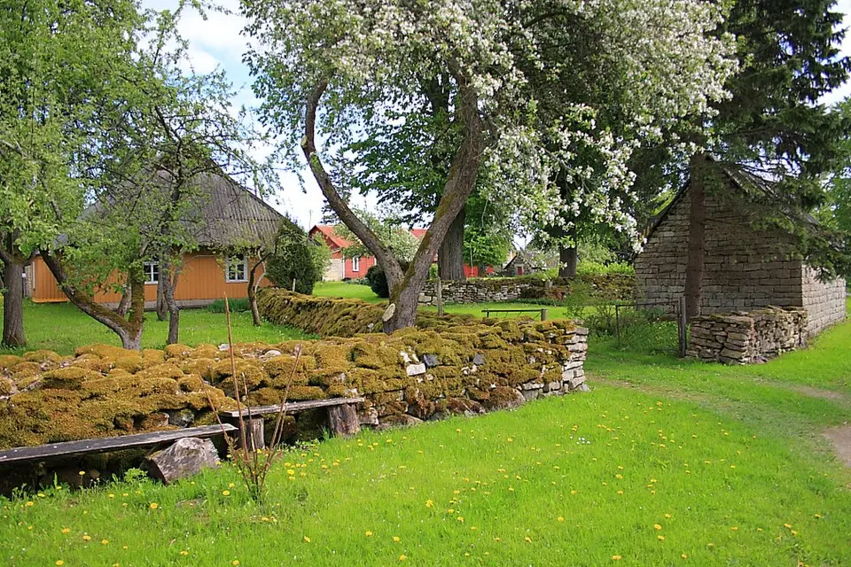 Mõega