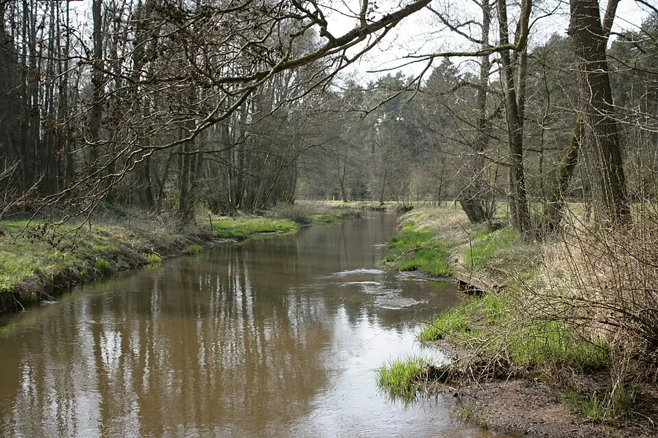 Luhe