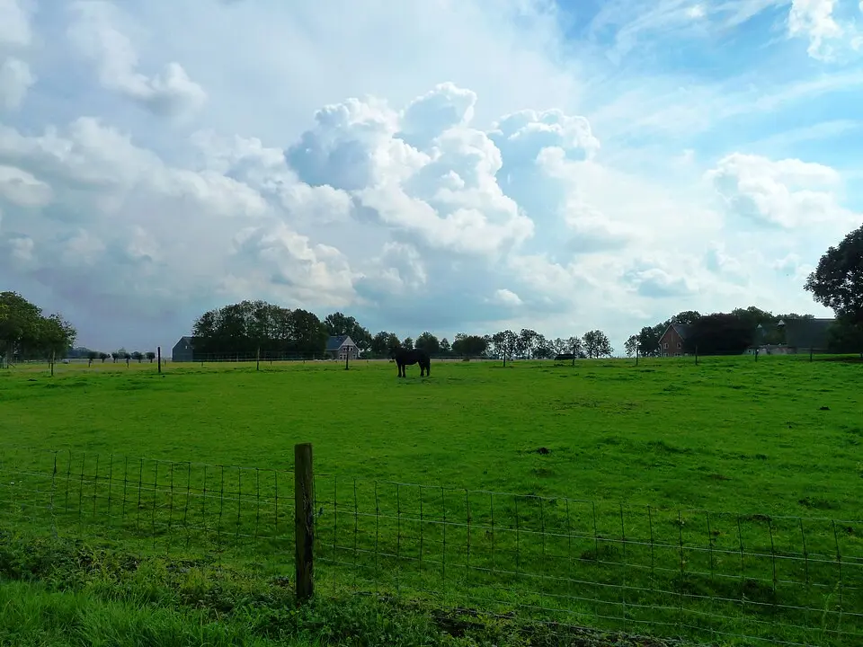 Oldorp
