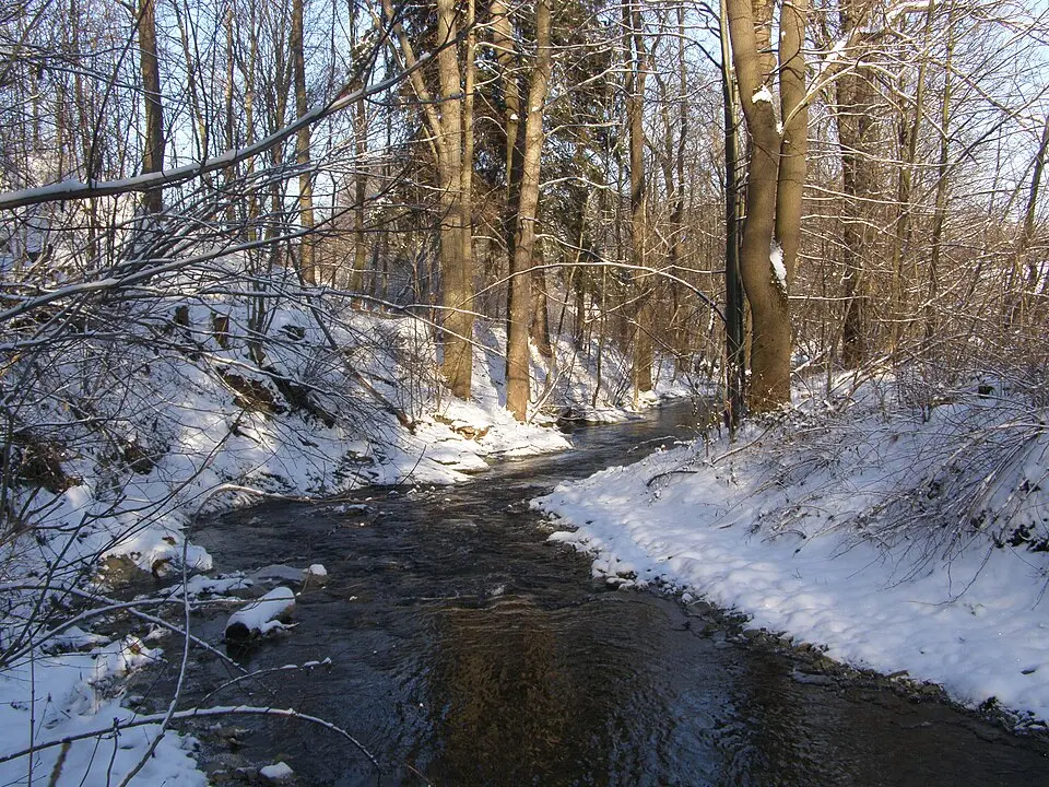 Olešná