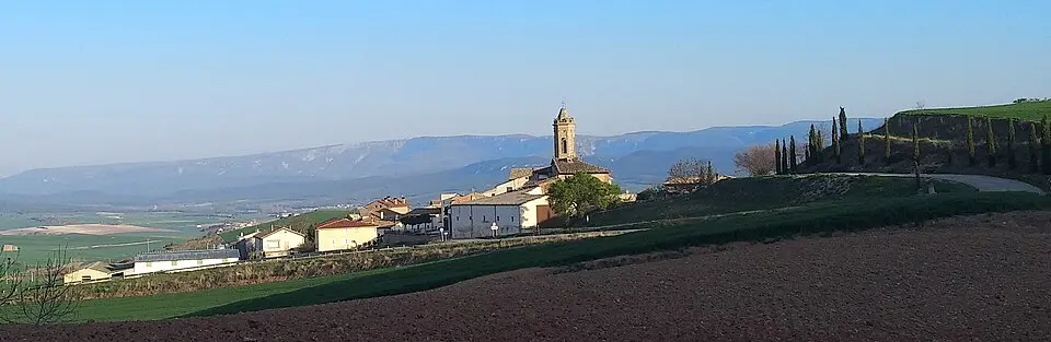 Olejua