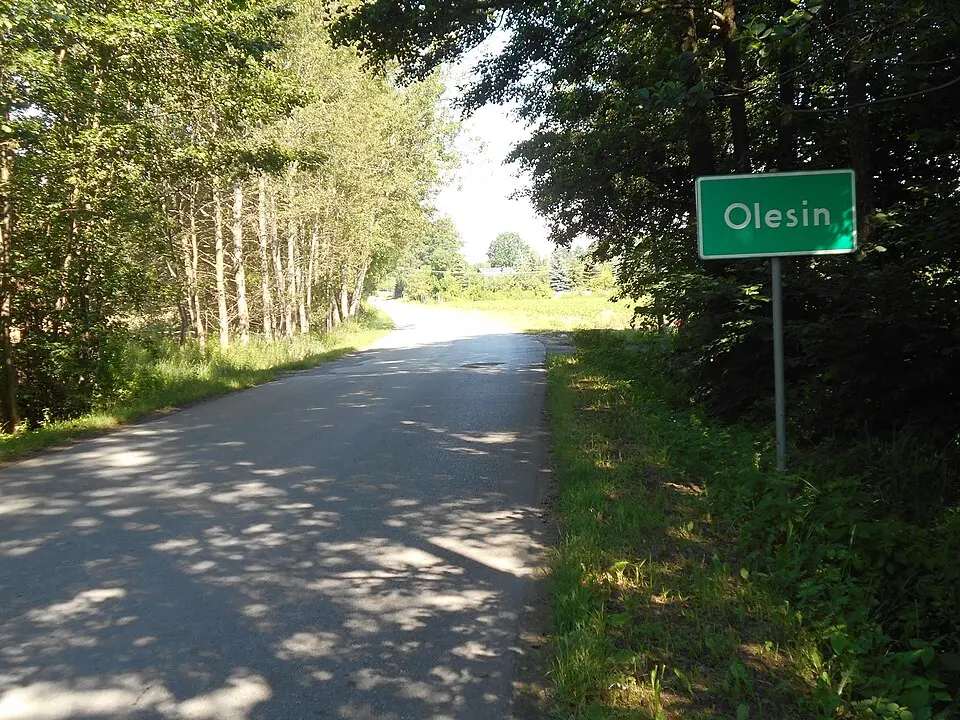 Olesin