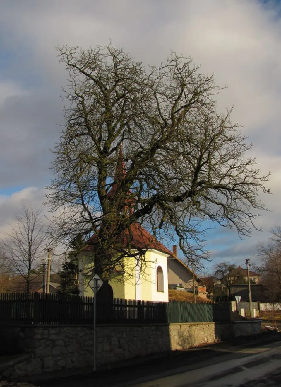 Olešná