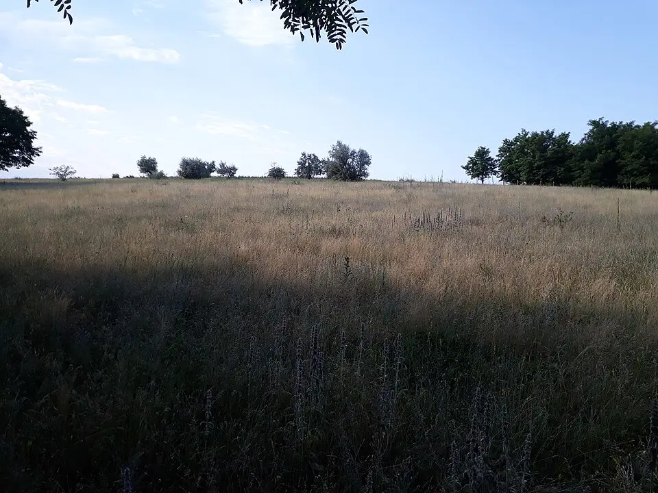 Cetățuie - Olișcani