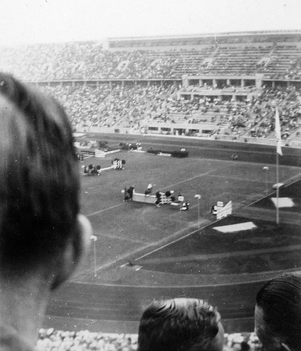 equestrian at the 1936 Summer Olympics