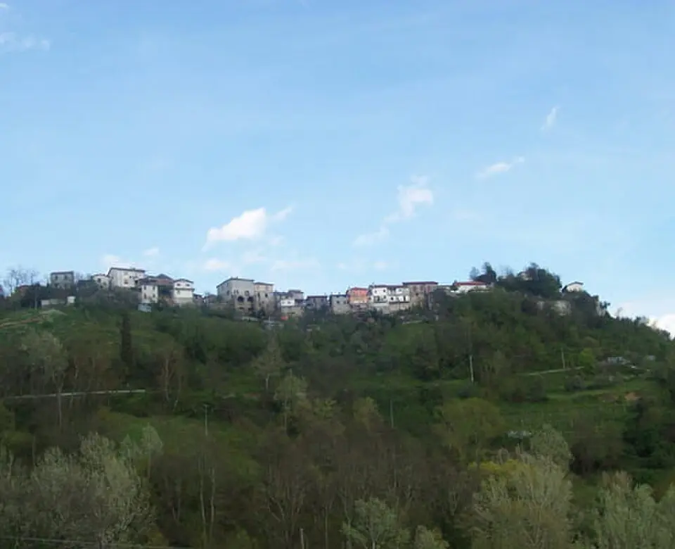 Olivola