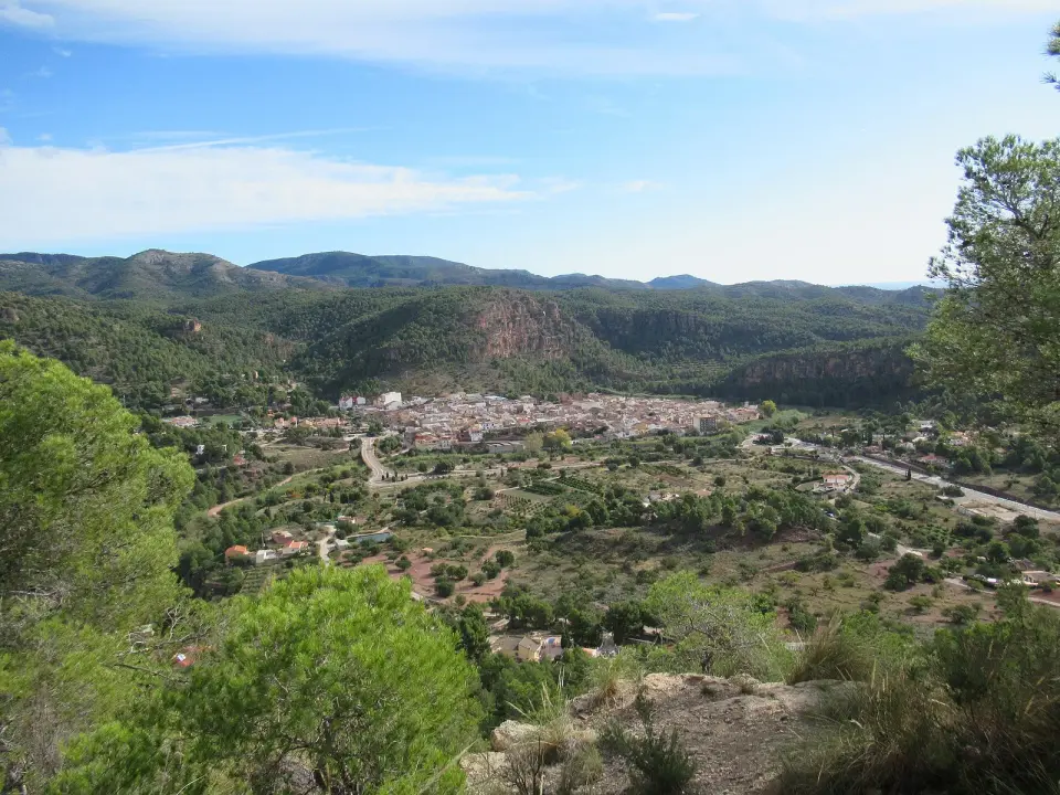 Olocau