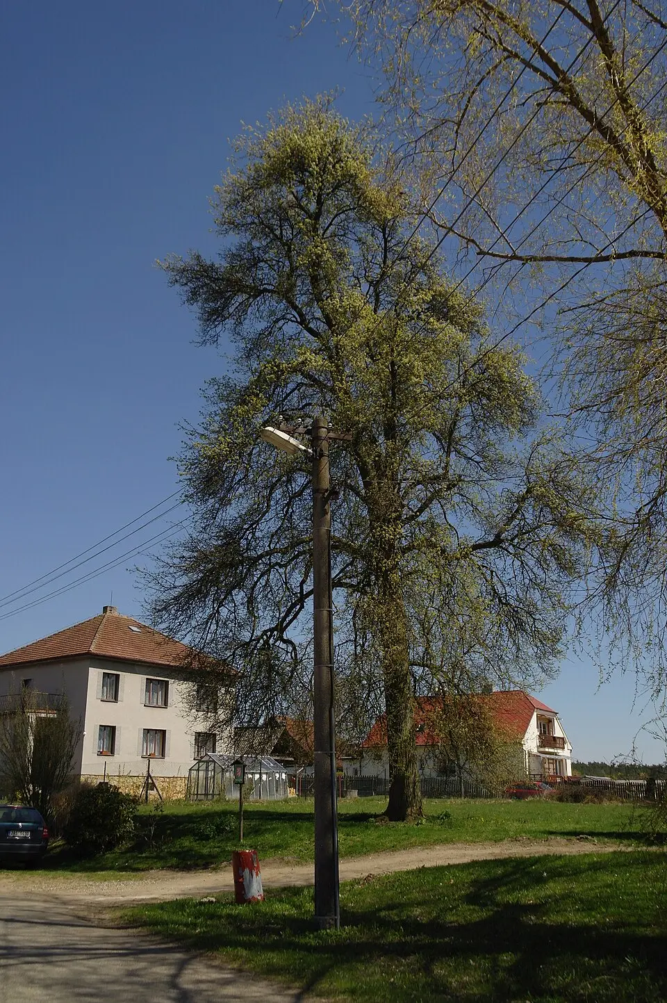 Olší