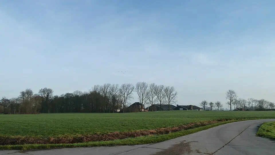Terrein met een wierde
