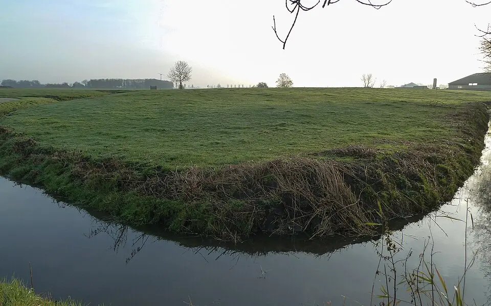Terrein met een wierde