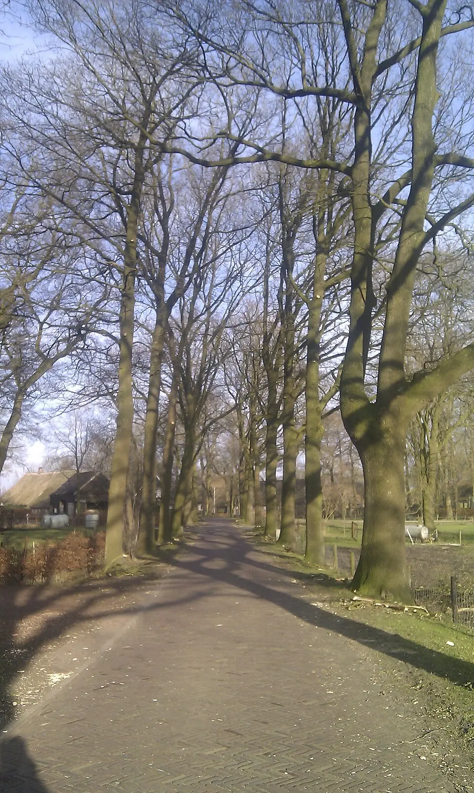 Oosterse Bos