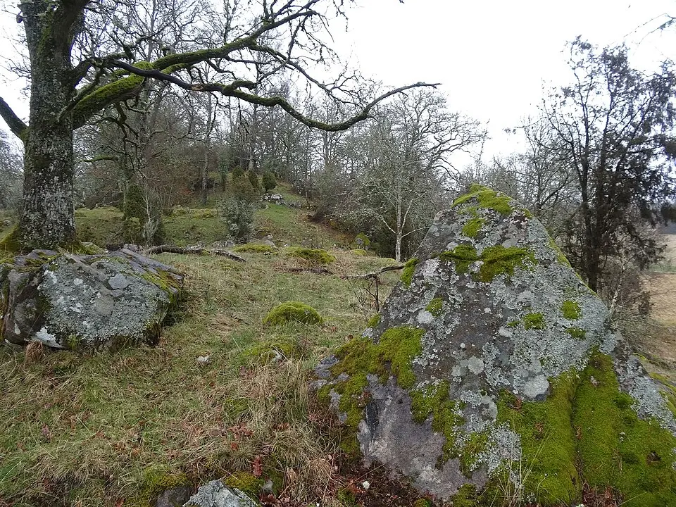 Opensten