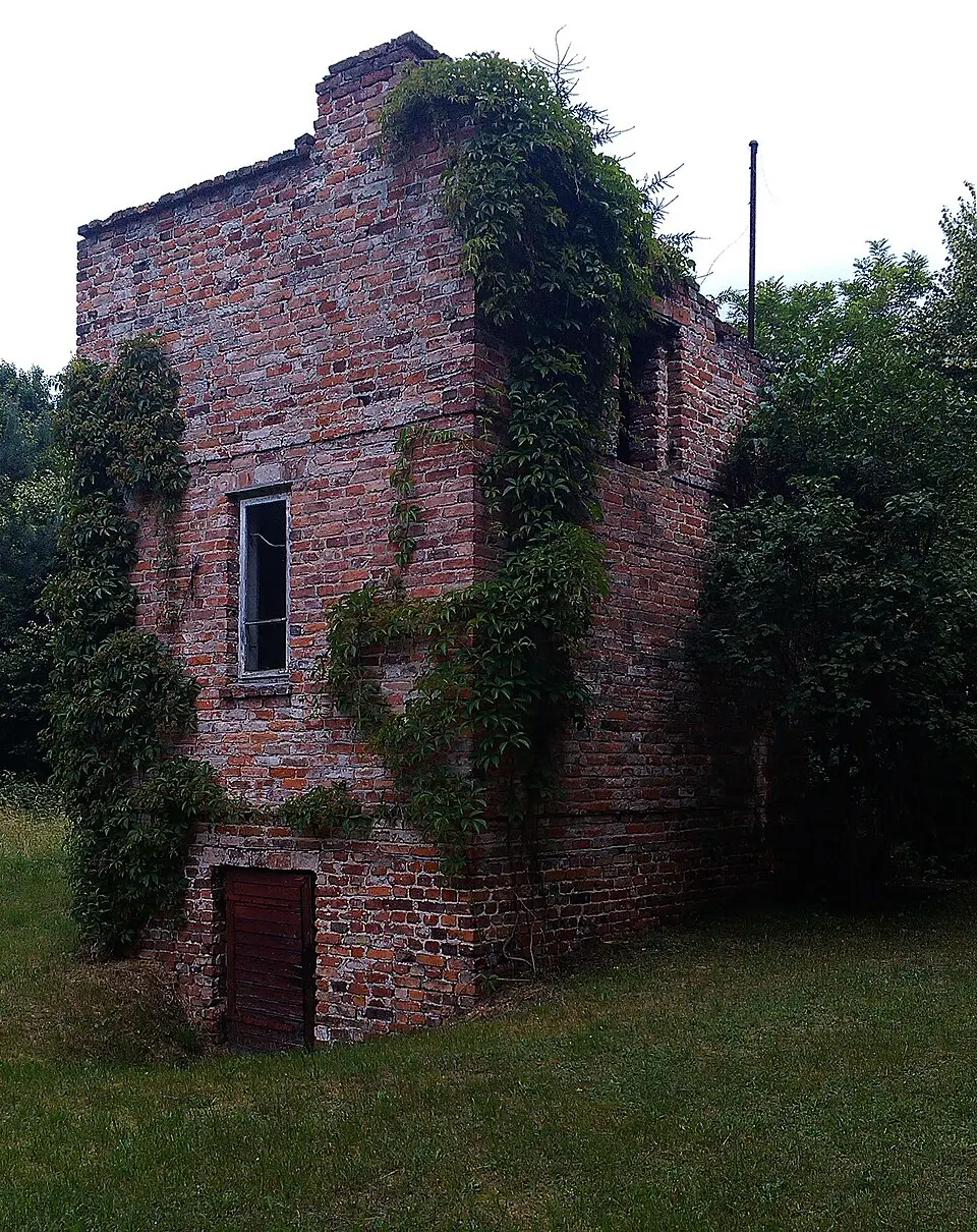 Ławy