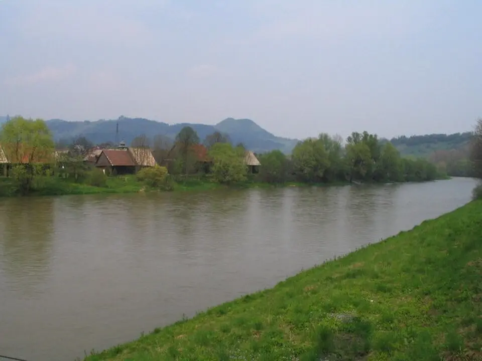 Orava