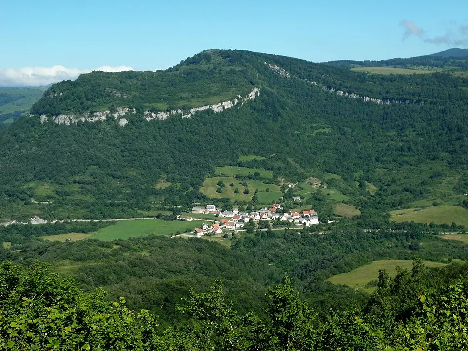 Orbara