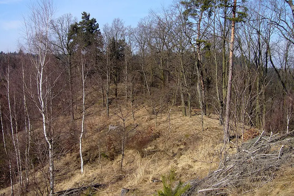 Oráčov