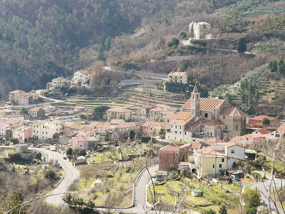 Feglino