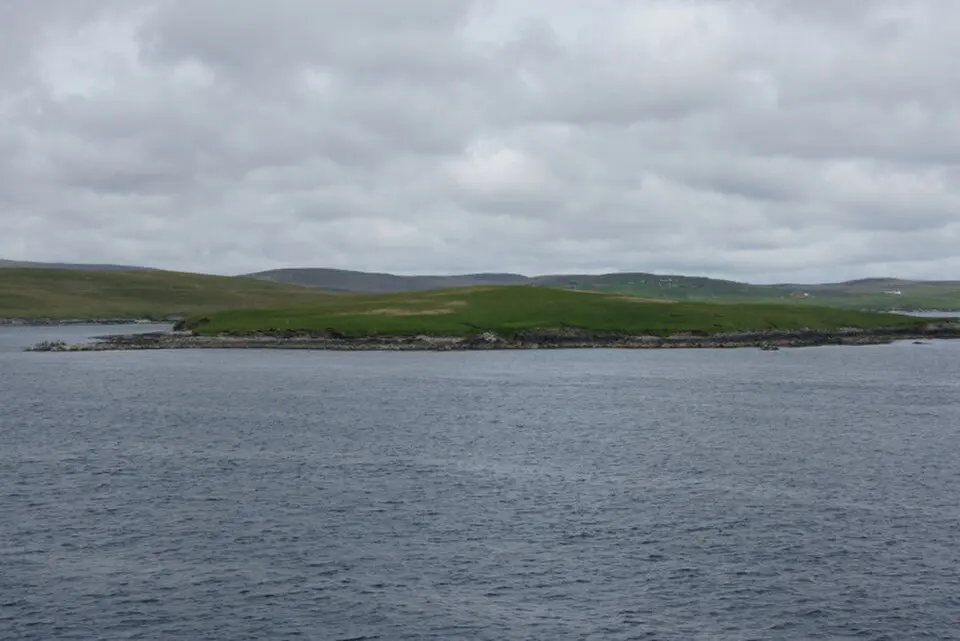 Orfasay