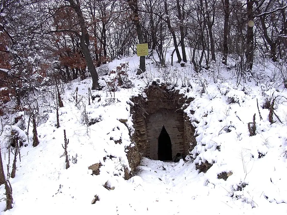 Оряховица