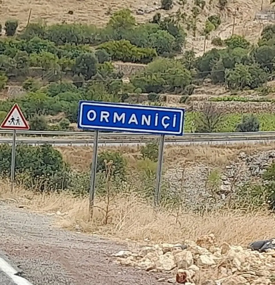 Ormaniçi