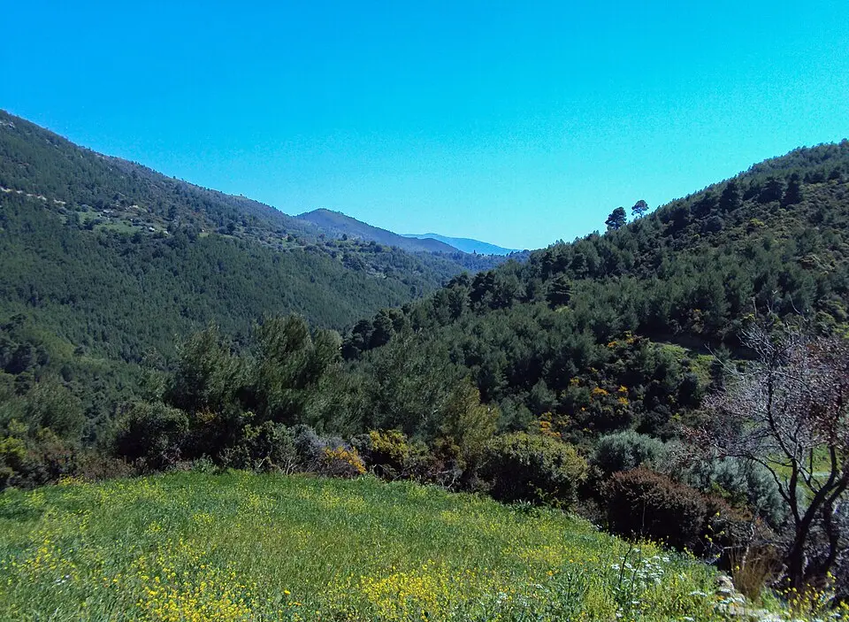 Μόβρη