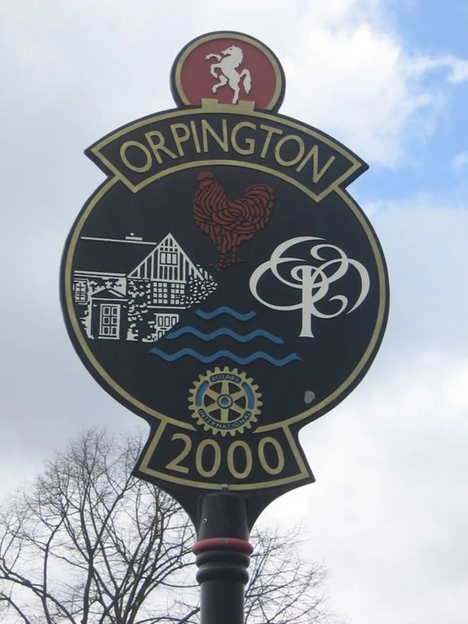 Orpington