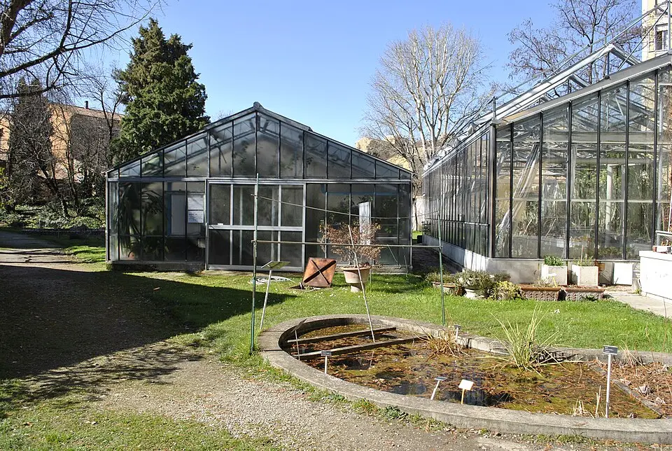 orto botanico di Bologna