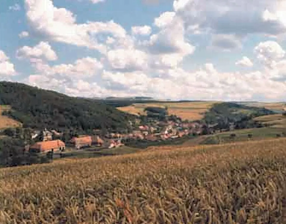 Bild: Torsten Schlemmer · CC BY-SA 3.0 Finkenbach-Gersweiler